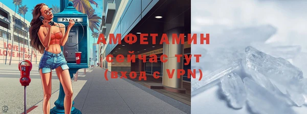 прущие грибы Нея