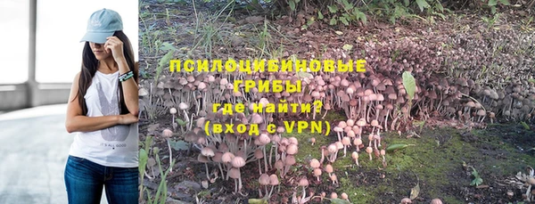герыч Новозыбков