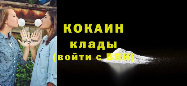 прущие грибы Нея