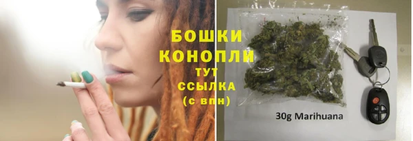 ГАЛЛЮЦИНОГЕННЫЕ ГРИБЫ Калач