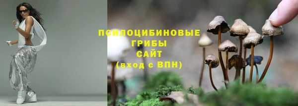 герыч Новозыбков