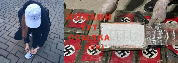 прущие грибы Нея
