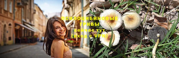 марихуана Новодвинск