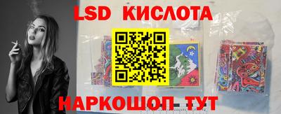 spice Гай