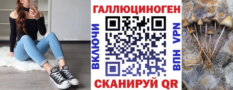 hydra ТОР  Карпинск  Галлюциногенные грибы прущие грибы 