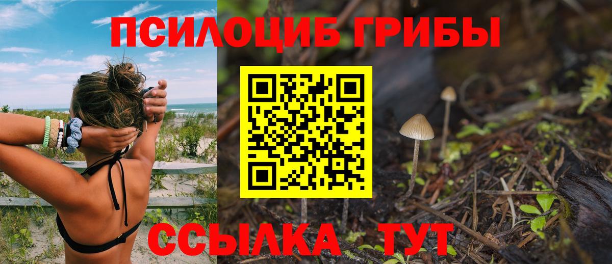 Псилоцибиновые грибы ЛСД Карпинск