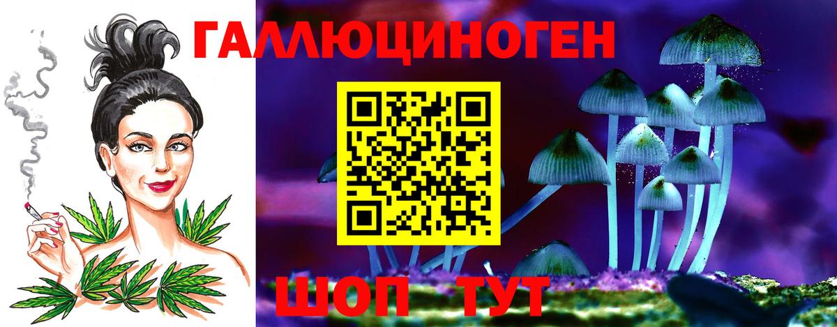 Галлюциногенные грибы Magic Shrooms  Карпинск 